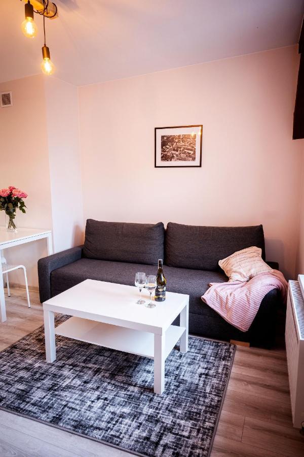 Just Smile Apartment Olsztyn  Exterior foto